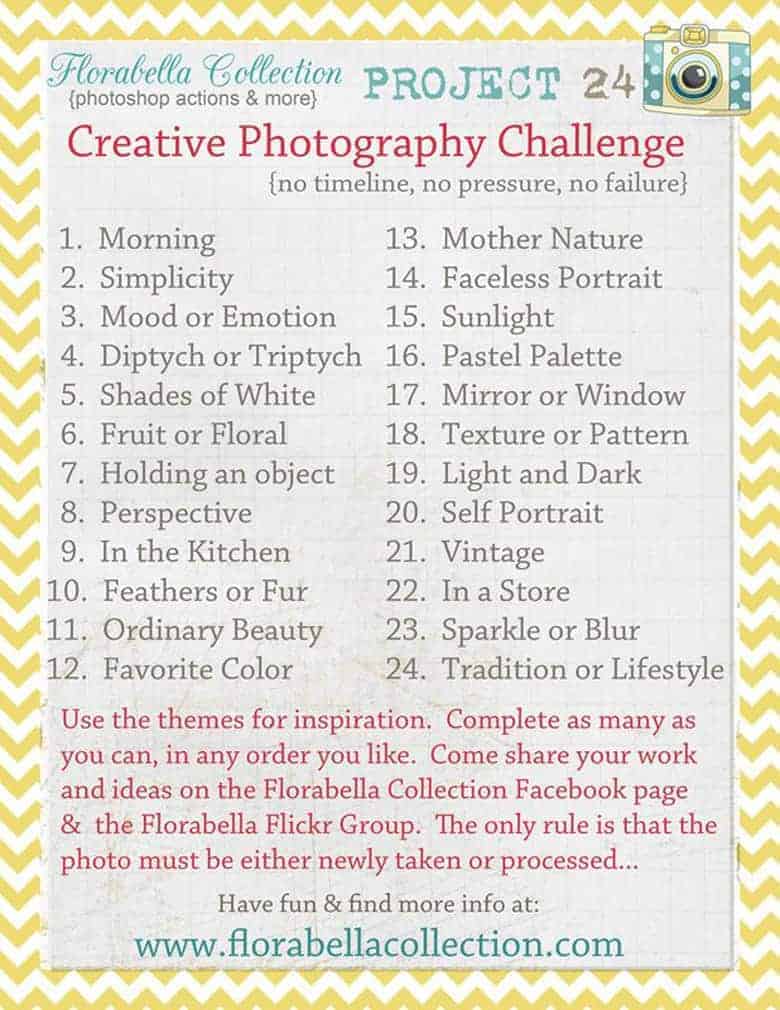 Photo Challenges For Any Month Or