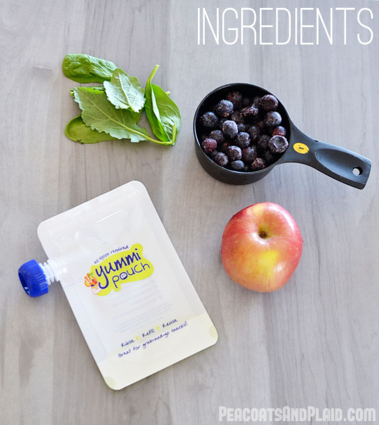 Toddler blueberry and spinach puree recipe for snack pouches