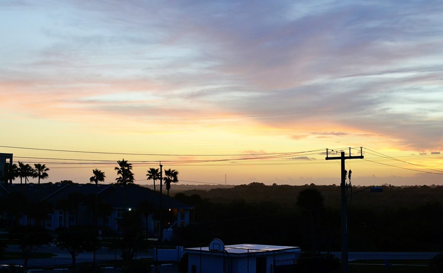 106e4-new-smyrna-beach-sunset-florida-palm-tree.jpg